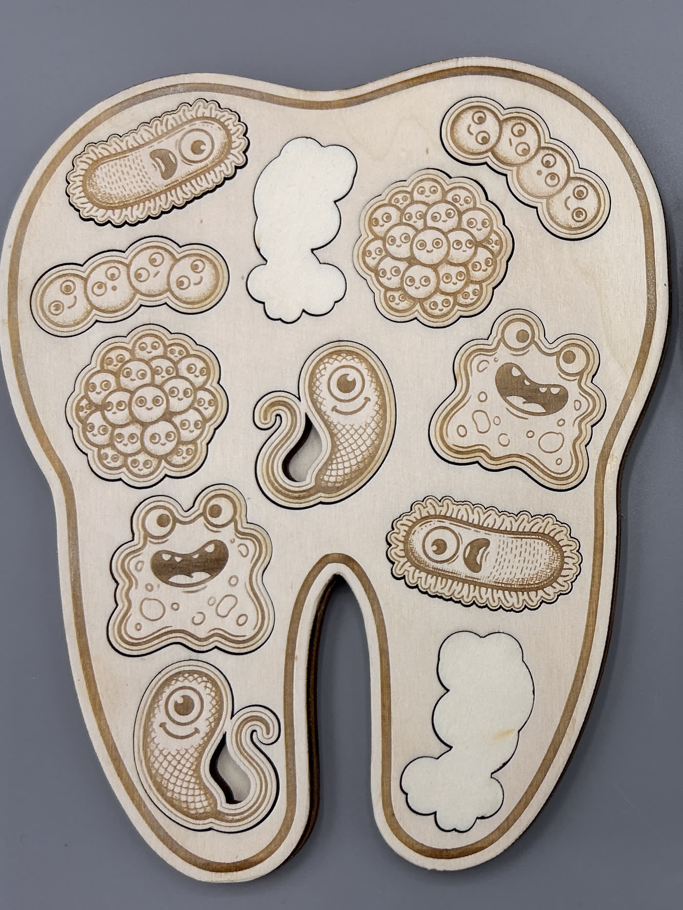 Close-up of the removable engraved bacteria pieces that lift out of the wooden tooth
